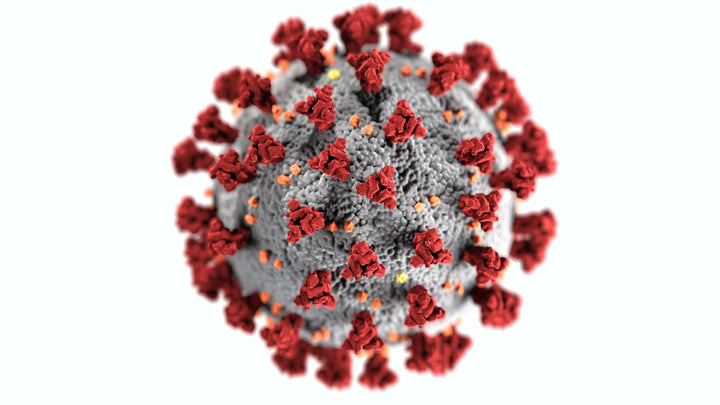 Coronavirus Nahaufnahme