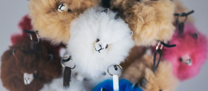 Alpaka Schlüsselanhänger Plüsch handgemacht verschiedene Farben von Alpakin