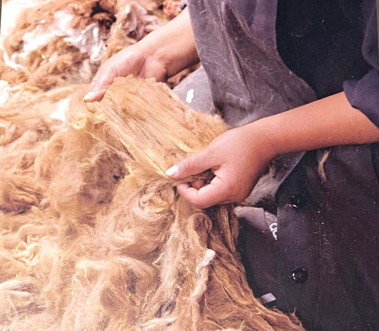 Frau sortiert und klassifiziert braune Alpakawolle