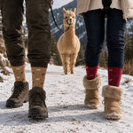Paar trägt Socken mit Alpaka Motiv auf winterlicher Alpaka Wanderung